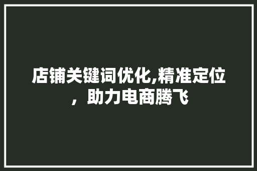 店铺关键词优化,精准定位，助力电商腾飞
