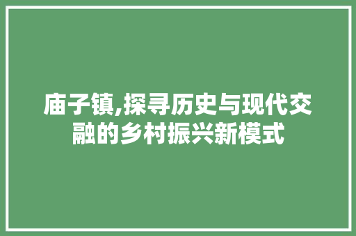 庙子镇,探寻历史与现代交融的乡村振兴新模式