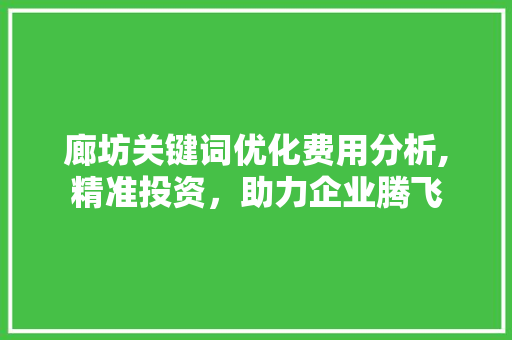 廊坊关键词优化费用分析,精准投资，助力企业腾飞