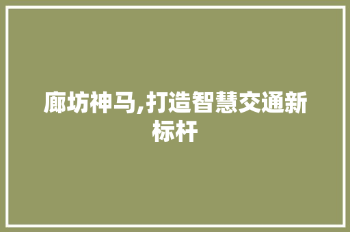 廊坊神马,打造智慧交通新标杆
