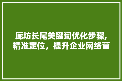 廊坊长尾关键词优化步骤,精准定位，提升企业网络营销效果