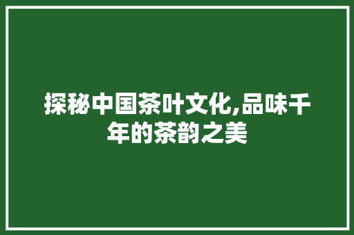 探秘中国茶叶文化,品味千年的茶韵之美