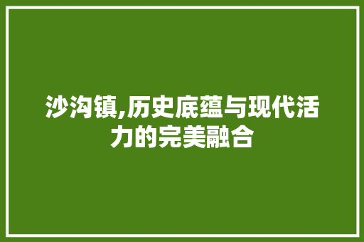 沙沟镇,历史底蕴与现代活力的完美融合