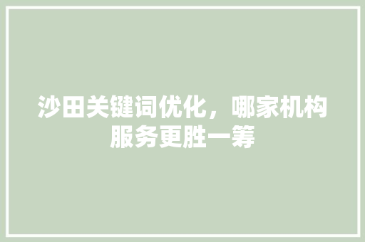 沙田关键词优化，哪家机构服务更胜一筹