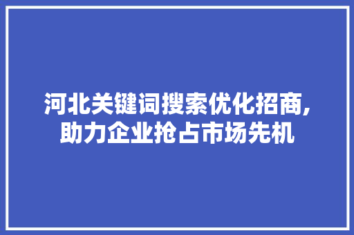 河北关键词搜索优化招商,助力企业抢占市场先机