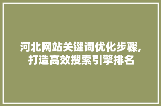 河北网站关键词优化步骤,打造高效搜索引擎排名