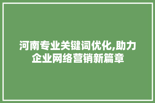 河南专业关键词优化,助力企业网络营销新篇章