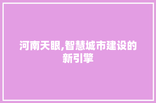 河南天眼,智慧城市建设的新引擎
