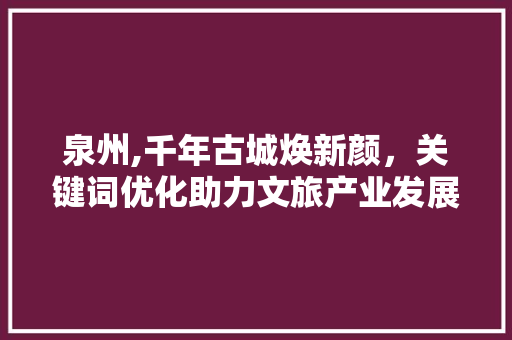 泉州,千年古城焕新颜，关键词优化助力文旅产业发展