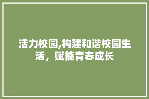 活力校园,构建和谐校园生活，赋能青春成长