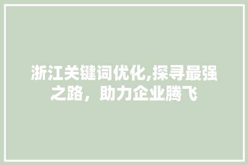 浙江关键词优化,探寻最强之路，助力企业腾飞