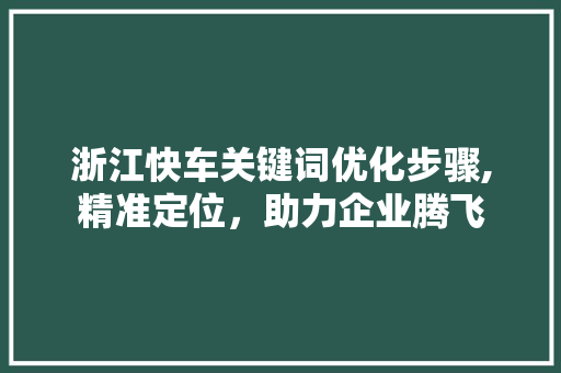 浙江快车关键词优化步骤,精准定位，助力企业腾飞