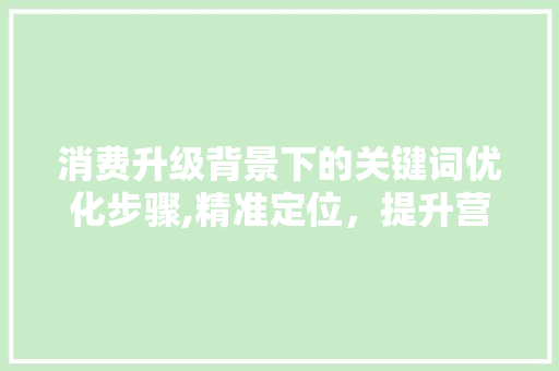 消费升级背景下的关键词优化步骤,精准定位，提升营销效果