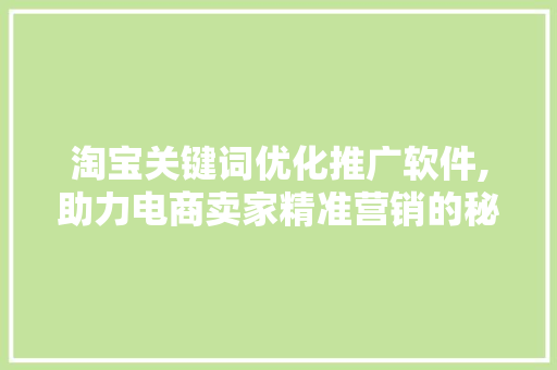 淘宝关键词优化推广软件,助力电商卖家精准营销的秘密武器