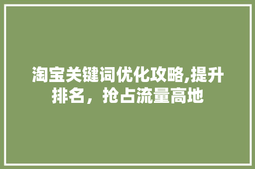 淘宝关键词优化攻略,提升排名，抢占流量高地