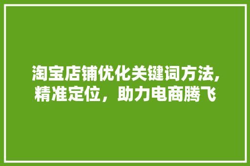 淘宝店铺优化关键词方法,精准定位，助力电商腾飞