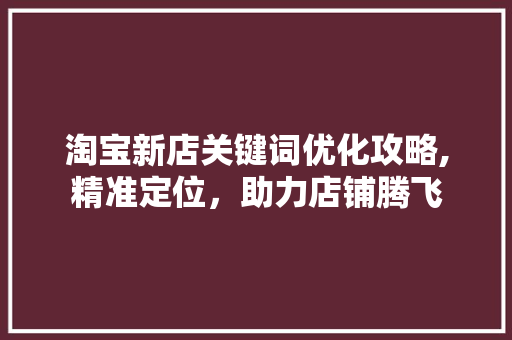 淘宝新店关键词优化攻略,精准定位，助力店铺腾飞