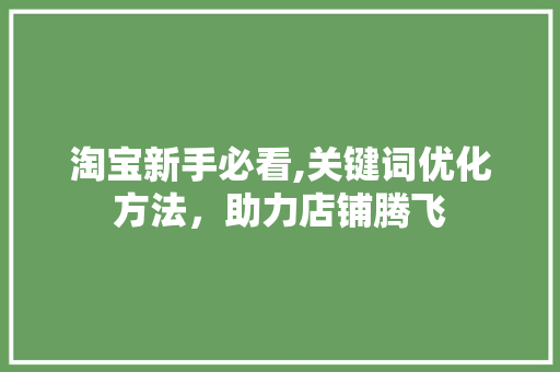 淘宝新手必看,关键词优化方法，助力店铺腾飞