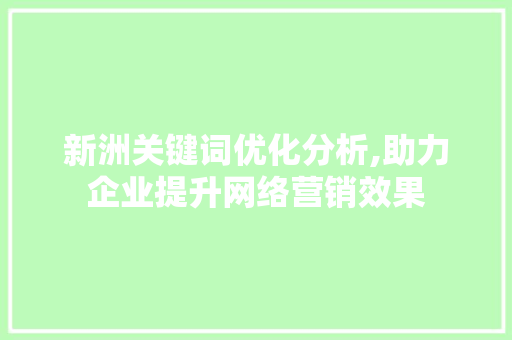 新洲关键词优化分析,助力企业提升网络营销效果