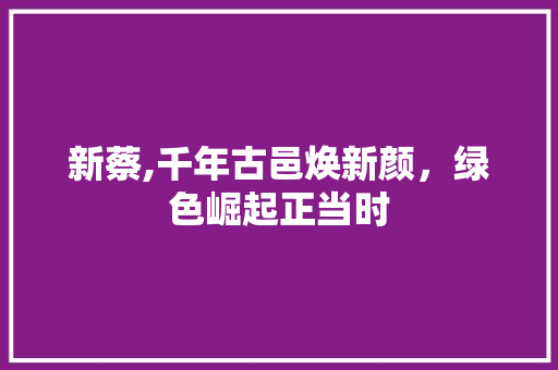 新蔡,千年古邑焕新颜，绿色崛起正当时 MySQL