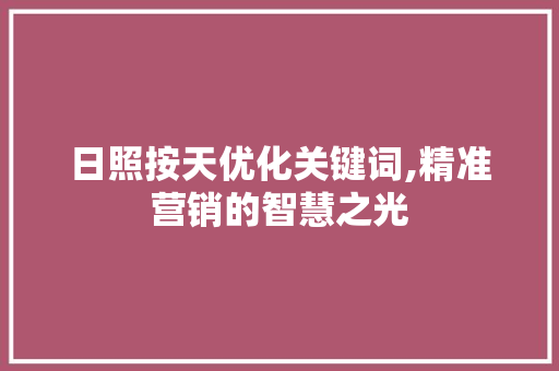 日照按天优化关键词,精准营销的智慧之光