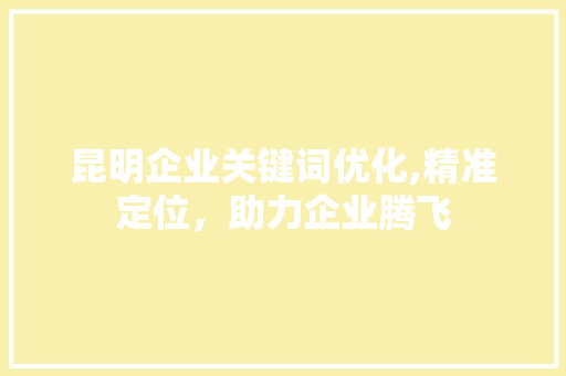 昆明企业关键词优化,精准定位，助力企业腾飞