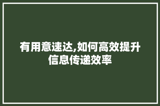 有用意速达,如何高效提升信息传递效率