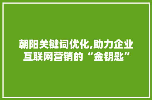 朝阳关键词优化,助力企业互联网营销的“金钥匙”