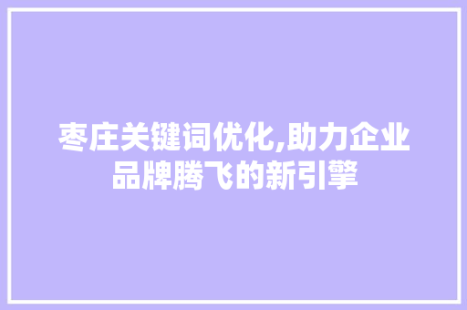 枣庄关键词优化,助力企业品牌腾飞的新引擎