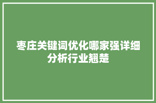 枣庄关键词优化哪家强详细分析行业翘楚
