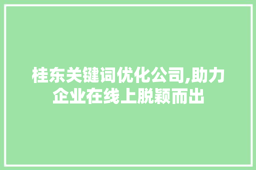桂东关键词优化公司,助力企业在线上脱颖而出