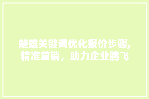 楚雄关键词优化报价步骤,精准营销，助力企业腾飞