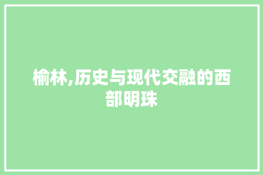 榆林,历史与现代交融的西部明珠