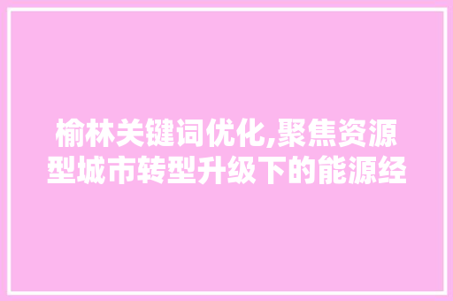 榆林关键词优化,聚焦资源型城市转型升级下的能源经济专业人才培养