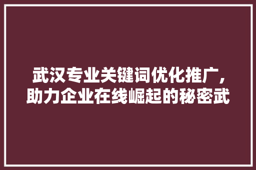 武汉专业关键词优化推广,助力企业在线崛起的秘密武器