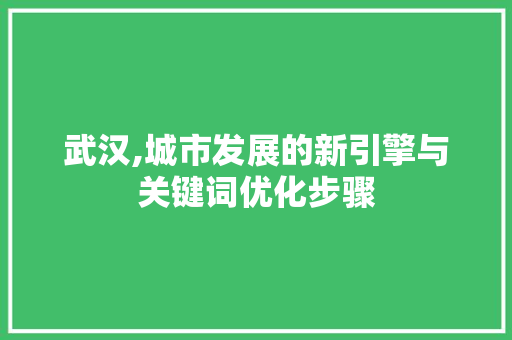 武汉,城市发展的新引擎与关键词优化步骤
