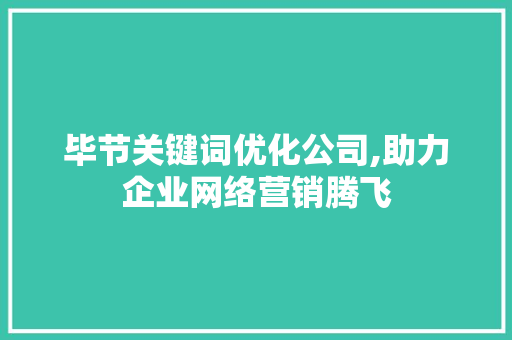 毕节关键词优化公司,助力企业网络营销腾飞