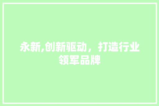 永新,创新驱动，打造行业领军品牌
