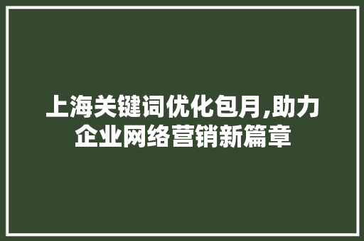 上海关键词优化包月,助力企业网络营销新篇章