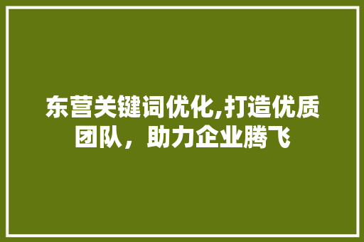 东营关键词优化,打造优质团队，助力企业腾飞