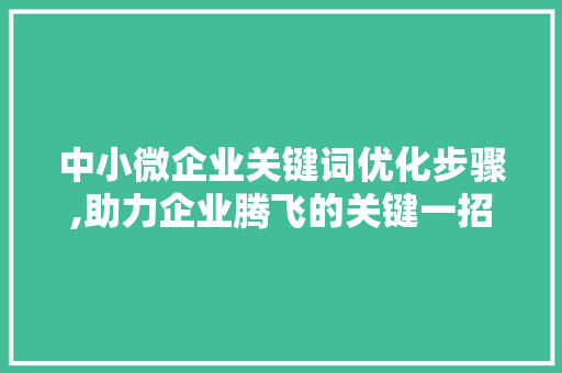 中小微企业关键词优化步骤,助力企业腾飞的关键一招
