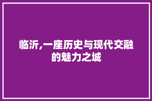 临沂,一座历史与现代交融的魅力之城
