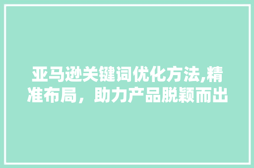 亚马逊关键词优化方法,精准布局，助力产品脱颖而出