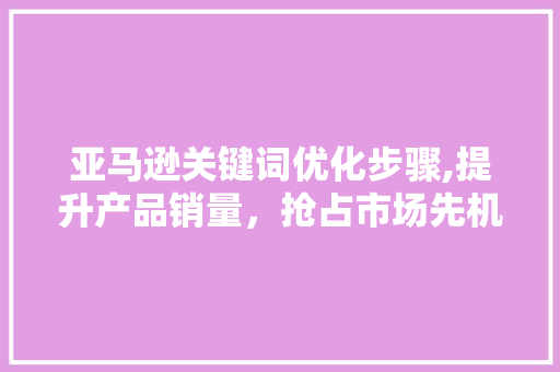 亚马逊关键词优化步骤,提升产品销量，抢占市场先机