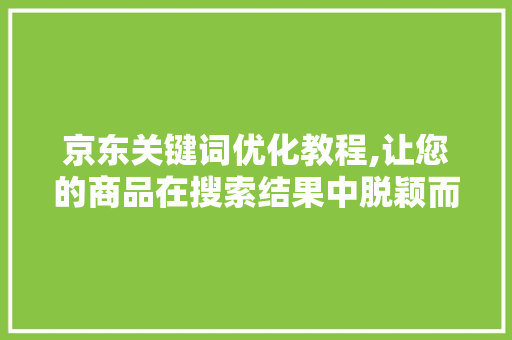京东关键词优化教程,让您的商品在搜索结果中脱颖而出