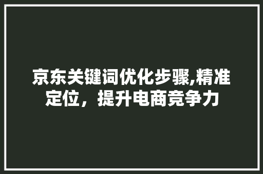 京东关键词优化步骤,精准定位，提升电商竞争力
