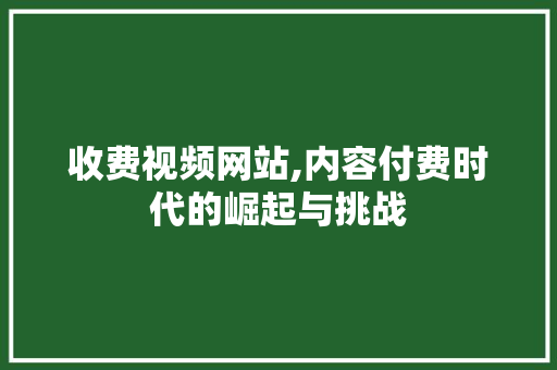 收费视频网站,内容付费时代的崛起与挑战 响应式设计