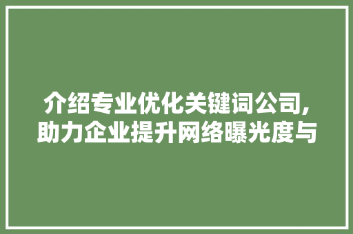 介绍专业优化关键词公司,助力企业提升网络曝光度与品牌影响力