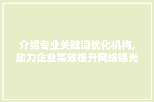 介绍专业关键词优化机构,助力企业高效提升网络曝光度