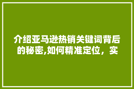 介绍亚马逊热销关键词背后的秘密,如何精准定位，实现电商成功